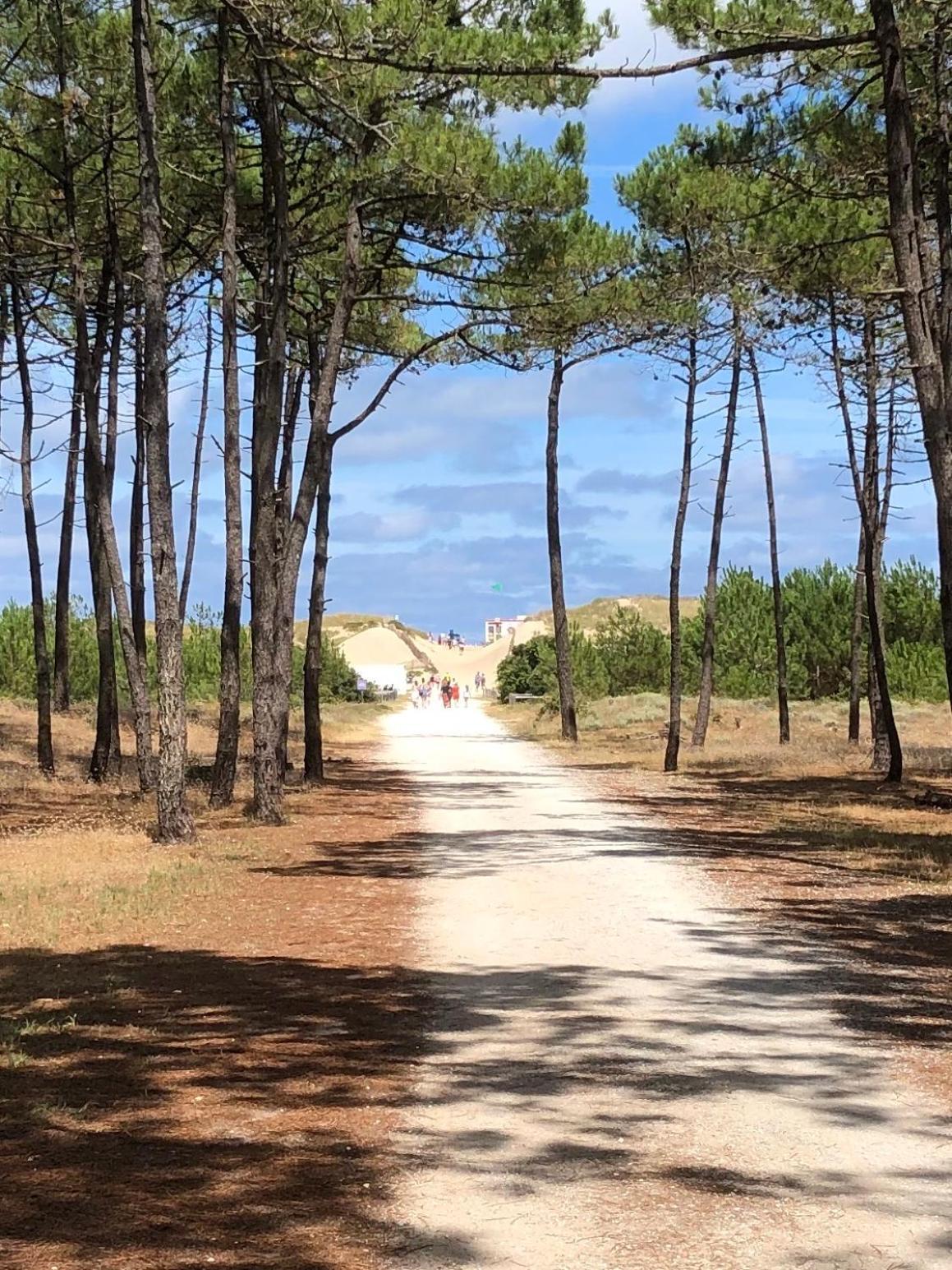 Vila Almigeda Les Mathes Exteriér fotografie