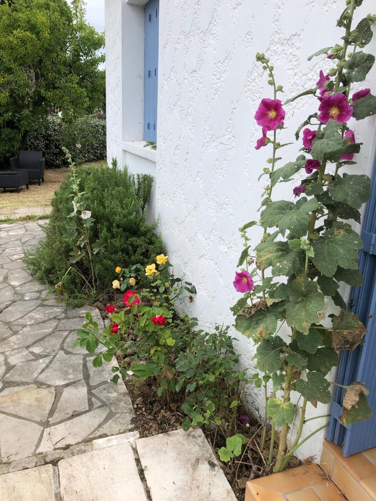 Vila Almigeda Les Mathes Exteriér fotografie